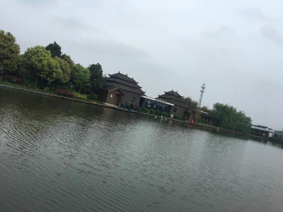 一日游